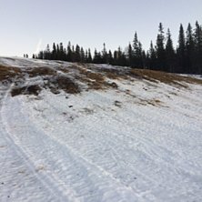 Mildv&aelig;r
Mildv&aelig;ret fortsetter og sn&oslash;en minker. D.