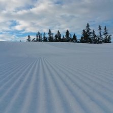 Supre forhold
Alle nedfarter er nypreppet????
All.