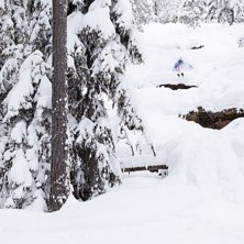 Skogs&aring;kning med Jacob i Moraskogen.. Foto: Andreas Timf&auml;lt. &Aring;kare: Jacob Gustafsson.
