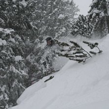 Foto: Oscar Becker. &Aring;kare: Carl.