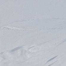 Foto: Felix Grunert. &Aring;kare: Rikard Lindblad.