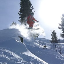 Foto: Roger &Ouml;stergren. &Aring;kare: Leo Waldner.