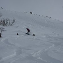 Foto: Morten Kolstad. &Aring;kare: Linda Zetterberg.