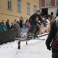 Winter Show i Kungstr&auml;dg&aring;rden 2014.. Foto: Hedda Berander.