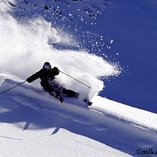 Foto: Mikael Pilstrand. &Aring;kare: Ted Josefsson.