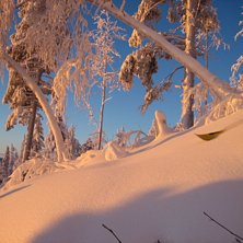 En episk dag i k&aring;bdalis med underbart ljus och fi. Foto: William Flodstr&ouml;m. &Aring;kare: Robert Lindberg.