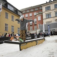 Winter Show i Kungstr&auml;dg&aring;rden 2014.. Foto: Hedda Berander.