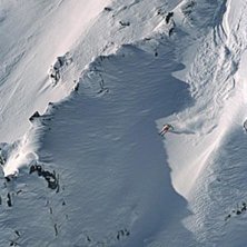 Sk&ouml;na sv&auml;ngar i disentis. Foto: Martin S&ouml;derqvist. &Aring;kare: Reine Barkered.