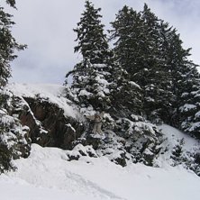 En kanondag med puder och inte en kotte i skogs-of. Foto: Christian Skoog. &Aring;kare: Jon J&ouml;nsson.