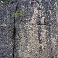 Topps&auml;krar. Foto: Johan Valis. &Aring;kare: Arvid Eriksson.
