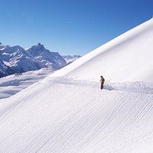 F&ouml;ljer ett skr&aring;sp&aring;r i nysn&ouml;n.. Foto: Jag. &Aring;kare: Johanna.