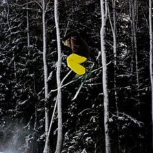 Foto: Simon Lindberg. &Aring;kare: Joar Lundberg.