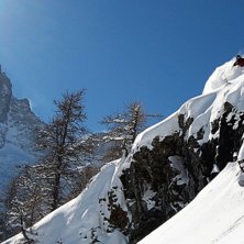 jag har tyv&auml;rr inte tagit bilden f&ouml;r det var en . Foto: Rich. &Aring;kare: Bobby.