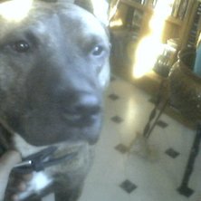 Foto: min cam. &Aring;kare: zeroz.