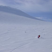 Foto: krister jonsson. &Aring;kare: Studspappa + lavinhund.