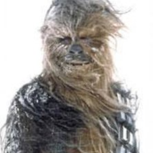 Star Wars-sk&auml;gg. Foto: Itzhak Skenstr&ouml;m.