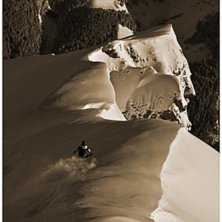 en kam i lauben. Foto: Rasmus Hammar. &Aring;kare: Christian Eriksson.