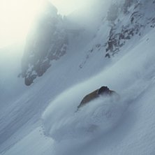 Foto: Niklas Karlson. &Aring;kare: Henrik Anderson.