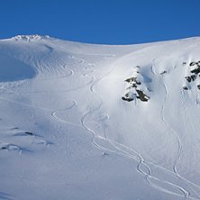 Foto: Frida H&uuml;llert.