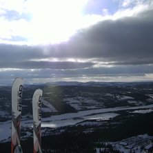 Foto: Niklas Palmqvist.