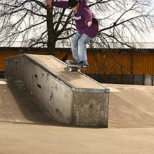 some priddy shit!. Foto: alexander davidsson. &Aring;kare: carl davidsson.