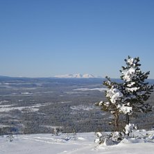 Foto: Axel gillberg.