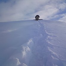 hiking p&aring; andra sidan dalen till &aring;rets sk&ouml;naste. Foto: Kalle Nilsson. &Aring;kare: Petter Sundbye.