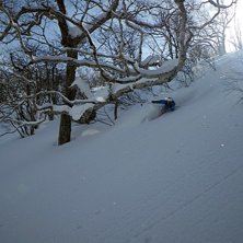 Foto: Robert Hortlund. &Aring;kare: Henrik Liljeqvist .