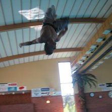 Foto: Adam stark. &Aring;kare: Anton Gustavsson.