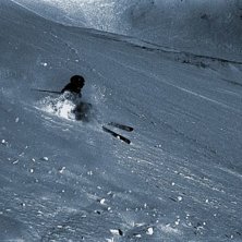 R&auml;ven p&aring; ett av &aring;res underbara puder&aring;k en soli. Foto: Joel Bergqvist. &Aring;kare: R&auml;ven.
