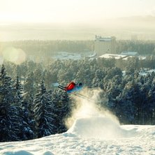 Foto: jak0b. &Aring;kare: m&aring;ns.