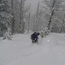 Puder i Fernie, ubderbart!!. Foto: Filip Gepertz. &Aring;kare: Jens Sundquist.