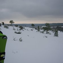 Foto: Erik Blomqvist.