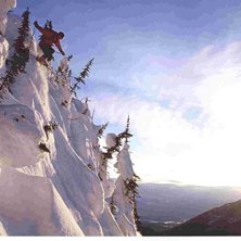 Foto: Kristoffer Svenberg. &Aring;kare: Linus Persson.