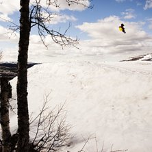 Foto: Andreas Timf&auml;lt.