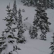 Fernie Alpine Foto