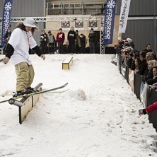 Winter Show i Kungstr&auml;dg&aring;rden 2014.. Foto: Hedda Berander.