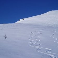 Foto: pappa. &Aring;kare: jag &aring; pappa.
