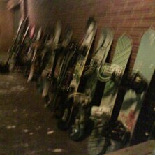 V&aring;ra br&auml;dor 
V&aring;ra liv. Foto: Isabella Gustafsson. &Aring;kare: Hela klassens.