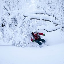 Foto: Aivas Krapavicius. &Aring;kare: Lisa Lind.