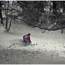 Skogeliskog. Foto: Christian Eriksson. &Aring;kare: Filip Kuttner.