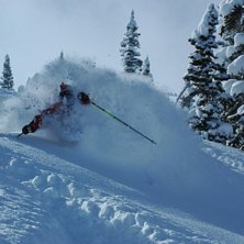 Foto: Bj&ouml;rn Nilsson. &Aring;kare: Mats Nilsson.