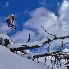 Foto: Nives Hollsten. &Aring;kare: Niklas Hollsten.