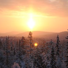 Foto: Linn &Ouml;stlund.