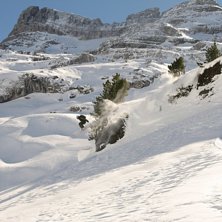 Foto: Molina Cederholm. &Aring;kare: Felix Engstr&ouml;m.