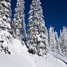 Beh&ouml;ver jag ens p&aring;peka att jag bara haft en dag . Foto: Tomas Hallenberg. &Aring;kare: Mikel Witlox.