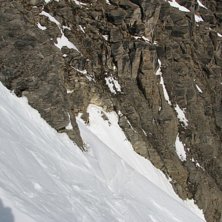 Brant och trevlig!. Foto: Magnus Cang&aring;rd.