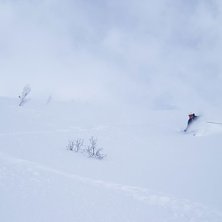 Foto: Erik Berglund. &Aring;kare: Johan Kista .