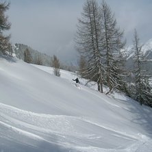 Foto: normalin. &Aring;kare: broshan.