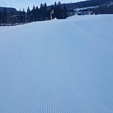 Den perfekte svingen
I dag ligger alt til rette fo.